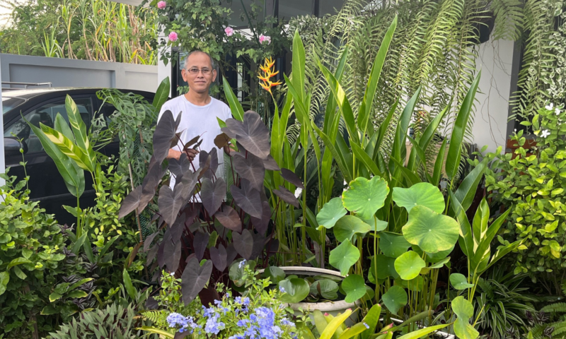 FLOCERT Auditor in his garden