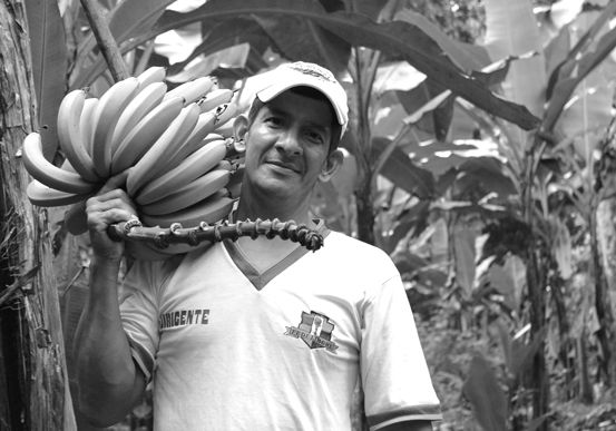 Agricultor de bananos sosteniendo unos bananos