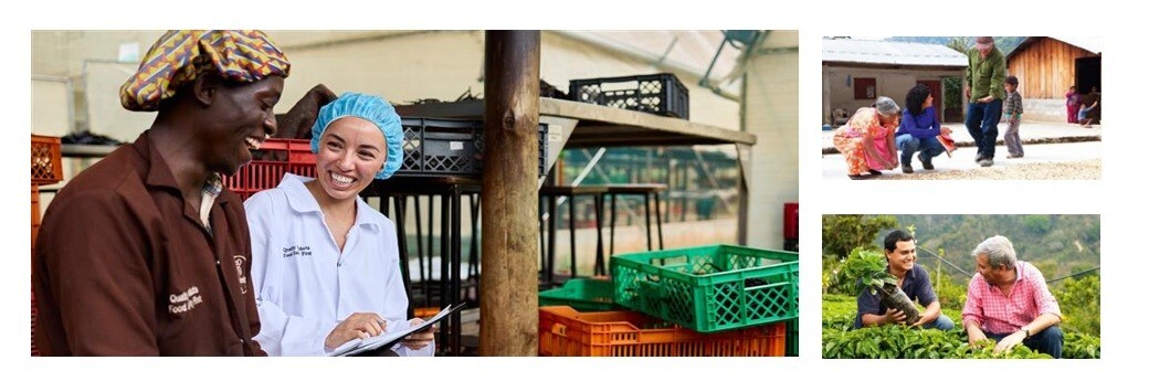 Information Service Analyst (m/f/div) – Maternity Cover/Internal ONLY, 1. image